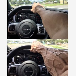 Chad Driver 2 Panel Empty Template   Car, Driving, Muscle, Arm, Vein   Dodge   Veine Voiture Conduire meme template
