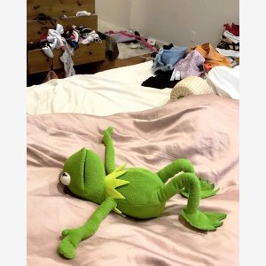 Kermit On A Bed Full   Kermit The Frog, The Muppets, Sesame Street   Grenouille meme template