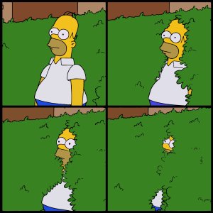 The Simpsons   Homer Buisson meme template