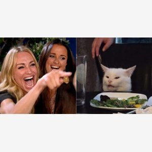Woman Yelling At A Cat Empty Template   Smile, Smiling   Femme Chat meme template