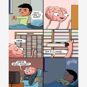 Okay Time To Sleep   Dormir Cerveau Brain meme template