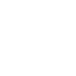 Icon 1790165504.1511