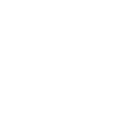 Icon 1790165518.7703