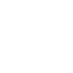 Icon 1790165572.5918