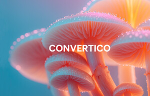 delicate-mushrooms-lossless-webp.webp - Archivo WEBP de muestra